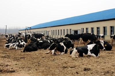 奶农合作社未复工复产即被关停，只补10%合法吗？
