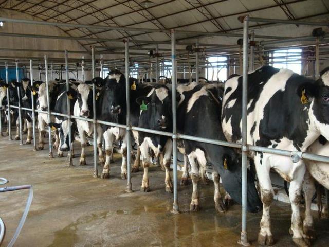 奶农合作社未复工复产即被关停，只补10%合法吗？