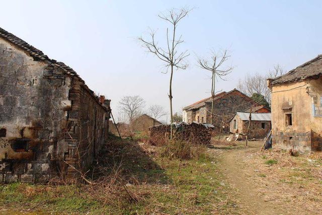 农村宅基地征收的补偿影响村民后半生，四个方式可得摸透了